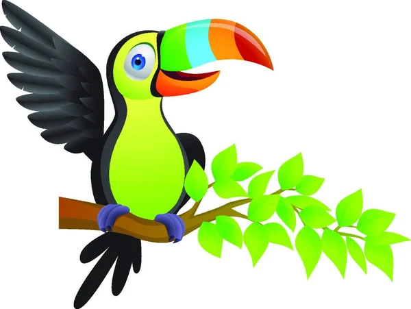 Ilustracja Kreskówki Toucan Ptaka — Wektor stockowy