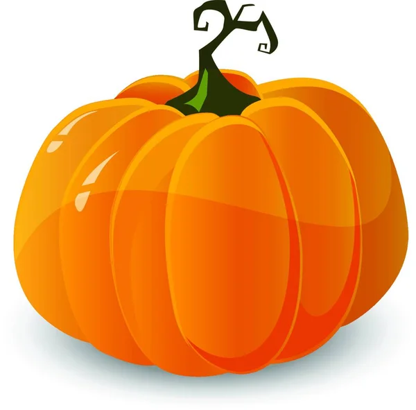 holiday Halloween pumpkin vector illustration