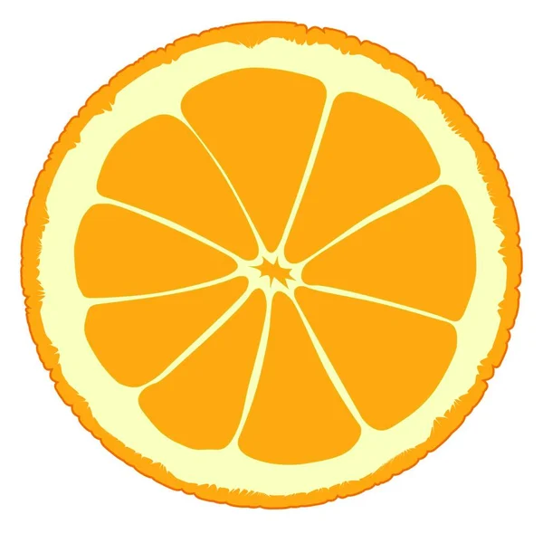 Illustration Orange Slice — Stock Vector