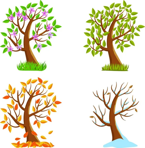 Four Seasons Tree Basit Vektör Çizimi — Stok Vektör