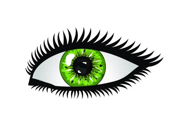 Human Eye Colorful Vector Illustration — Stock Vector