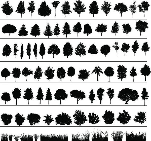 Illustration Der Bäume Büsche Gras — Stockvektor