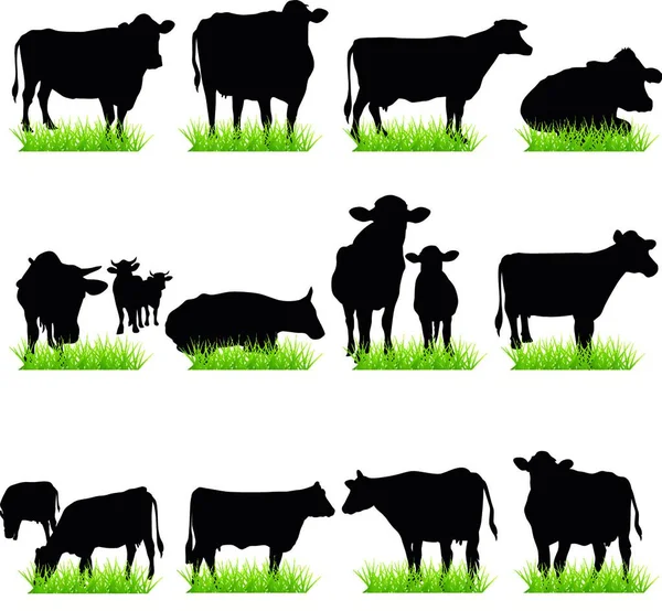 奶牛剪影集的图解 — 图库矢量图片