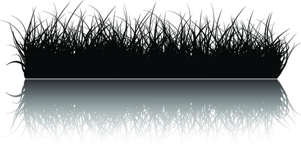 草の背景ベクトル イラスト — ストックベクタ