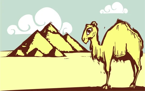 Pirámide Camello Ilustración Vectorial Gráfica — Archivo Imágenes Vectoriales