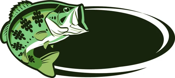 Illustration Bass Fish — Stock Vector