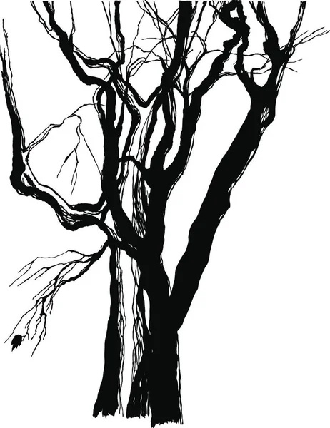 Ілюстрація Старих Дерев — стоковий вектор