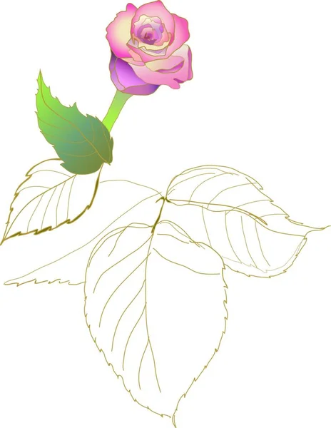 Illustration Rose Vectorielle — Image vectorielle