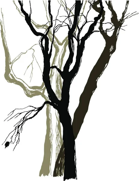 Ilustração Das Árvores Desenho — Vetor de Stock