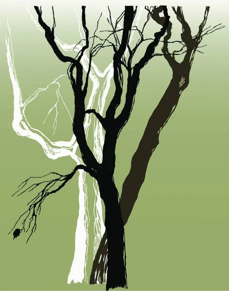 Ilustracja Drzew — Wektor stockowy