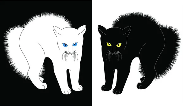Gatos Blancos Negros — Vector de stock