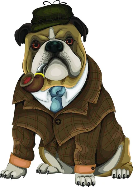 Bulldog Sherlock Vector Illustratie — Stockvector