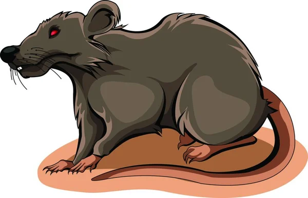 Illustration Råttan — Stock vektor