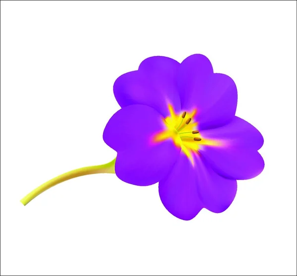 Abbildung Der Blume — Stockvektor