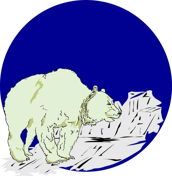 Abbildung Des Eisbären — Stockvektor