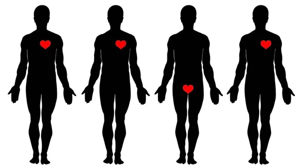 Ilustracja Anatomii Miłości — Wektor stockowy
