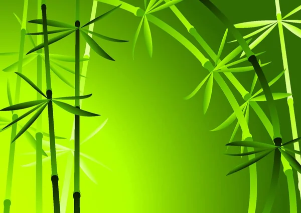 Illustrazione Della Foresta Bambù — Vettoriale Stock