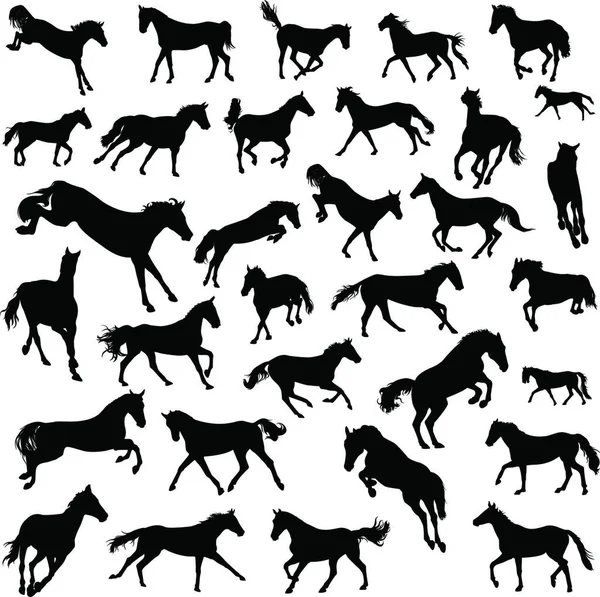 Набор Векторных Иллюстраций Лошадей — стоковый вектор