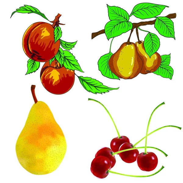 Päron Frukter Cherry Och Persika — Stock vektor
