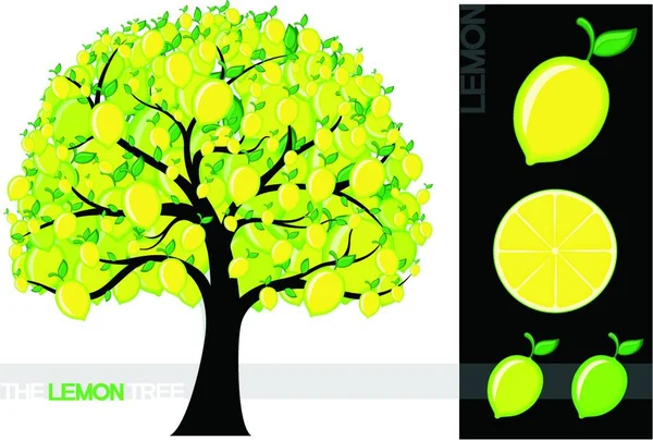 Illustrazione Dell Albero Limone — Vettoriale Stock