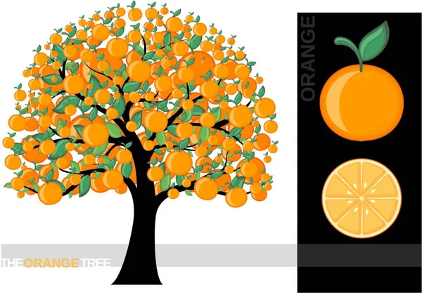 Illustration Det Orange Trädet — Stock vektor