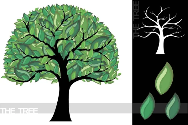 Ilustração Natureza Árvore — Vetor de Stock