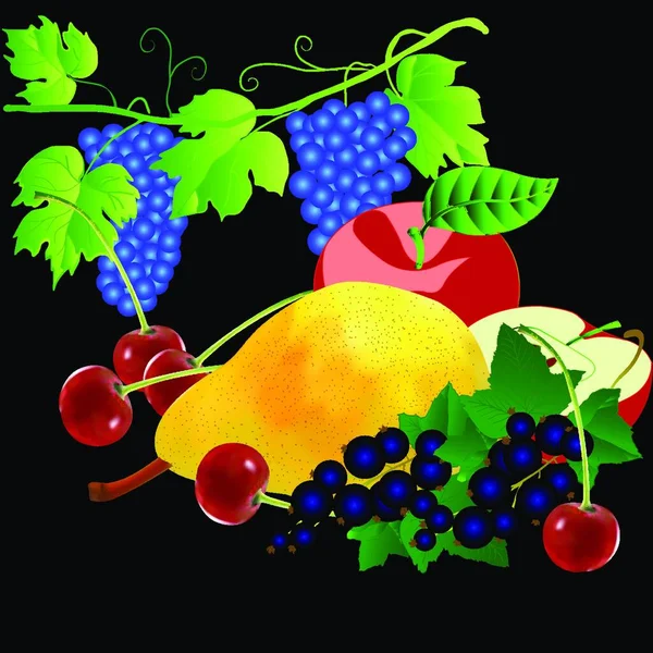 Illustrazione Dell Insieme Dei Frutti — Vettoriale Stock