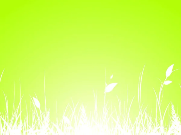 Illustration Grass Meadow — Stock Vector