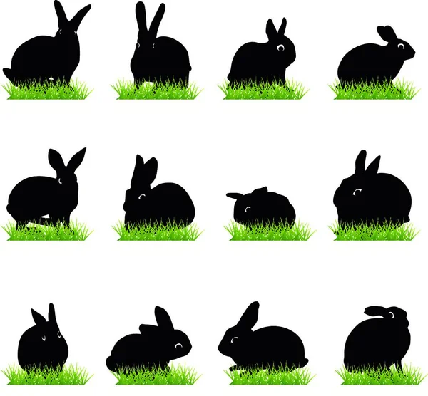 Illustration Kaniner Silhouettes Set — Stock vektor