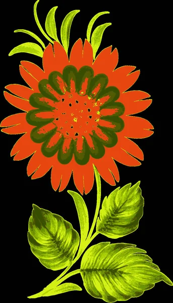 Απεικόνιση Του Διακοσμητικού Λουλουδιού — Διανυσματικό Αρχείο