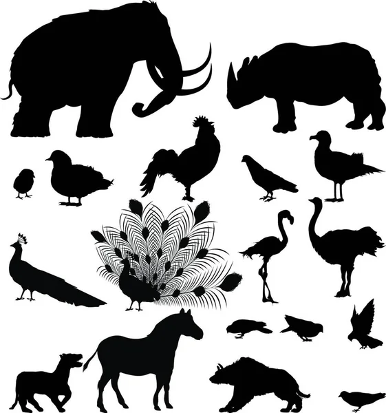 Wild Animal Silhouettes Graphic Vector Illustration — Stock Vector