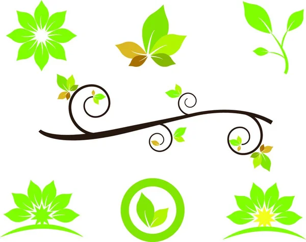 Elementos Design Verde Baseados Folhas — Vetor de Stock