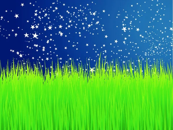 Green Grass Vector Background — Stock Vector