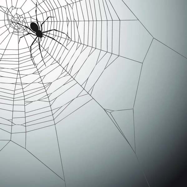 Spider Graphic Vector Illustration — Stock Vector