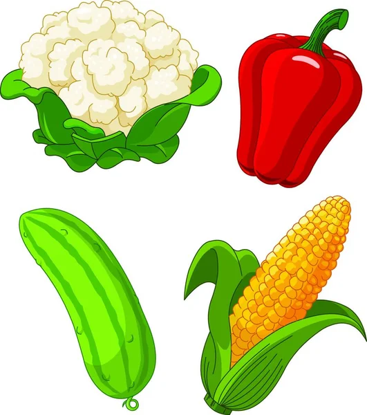 Набор Векторных Иллюстраций Овощей — стоковый вектор