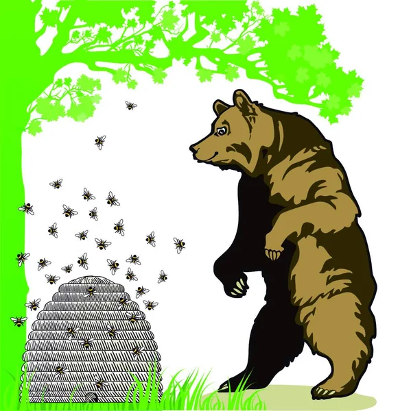 Bear Beehive Modern Vector Illustration — Stock Vector