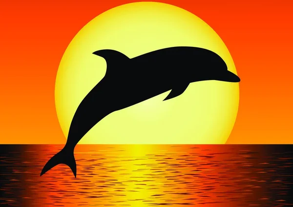 Dolphin Silhouette Vektor Illustration — Stockvektor