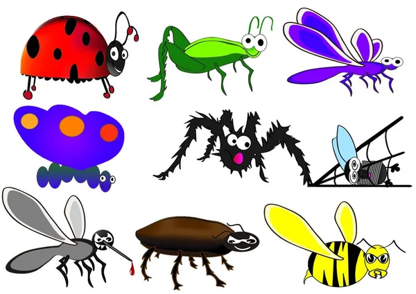 Různé Hmyz Vektorové Ilustrace — Stockový vektor