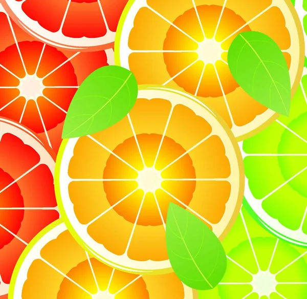 Citrus Slices Vector Illustration — Stock Vector