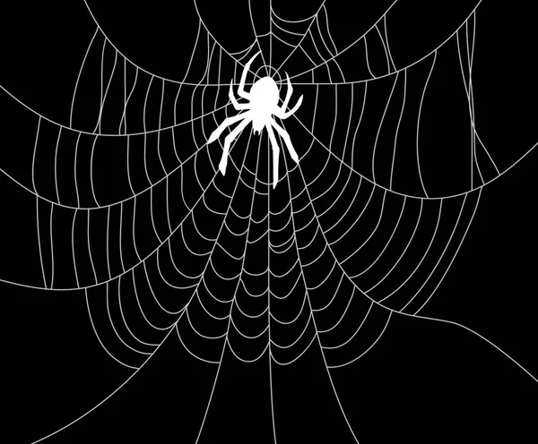 Spinnen Und Netzvektorillustration — Stockvektor