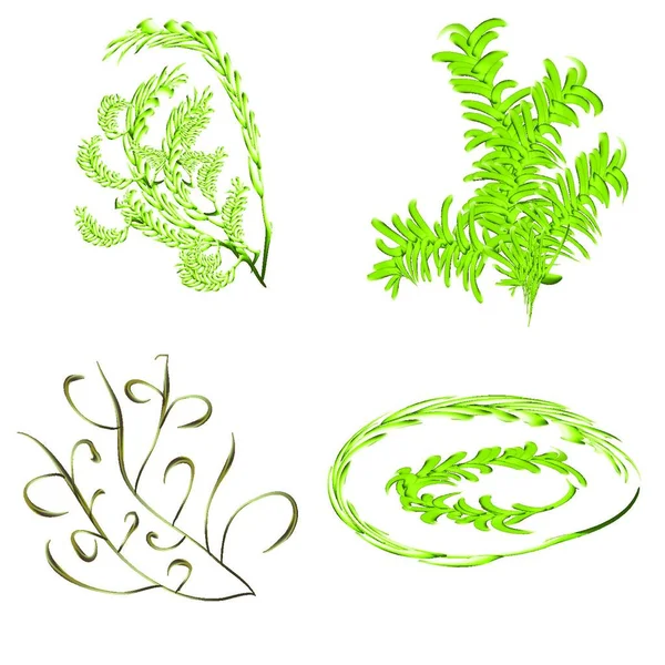 Branche Sapin Vert Ensoleillé — Image vectorielle