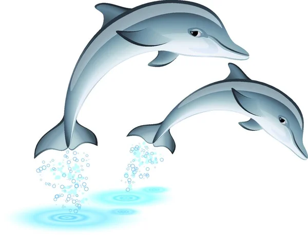 Hopp Delfiner Grafisk Vektor Illustration — Stock vektor