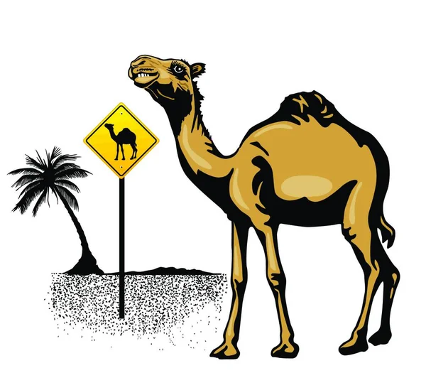 Верблюд Векторная Иллюстрация — стоковый вектор
