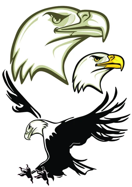 Cabeça Águia Águia Ilustração Vetorial Gráfica — Vetor de Stock