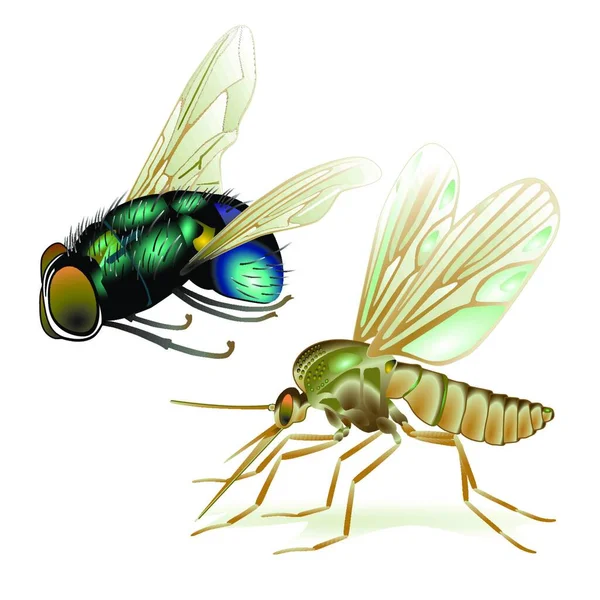 Κουνούπια Και Μύγες Πολύχρωμη Διανυσματική Απεικόνιση — Διανυσματικό Αρχείο