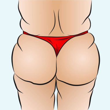 Fat ass  vector illustration 