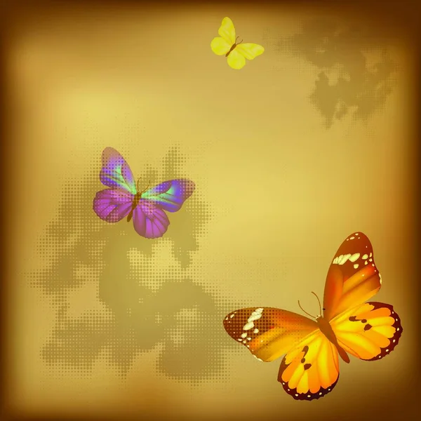一套蝴蝶 创意艺术图解 — 图库矢量图片