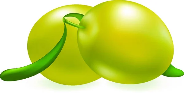 緑のオリーブ カラフルなベクターイラスト — ストックベクタ