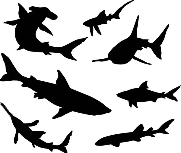 Silhuetas Tubarões Ilustração Vetorial Moderna —  Vetores de Stock