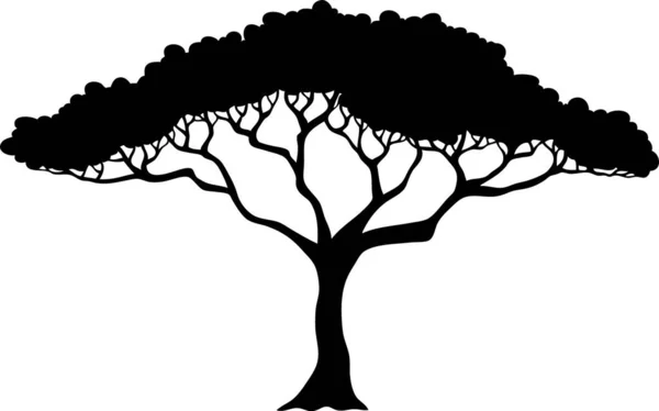 Tropik Ağaç Silüeti Vektör Çizimi — Stok Vektör